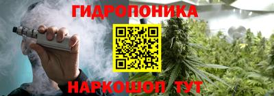 индика Кумертау