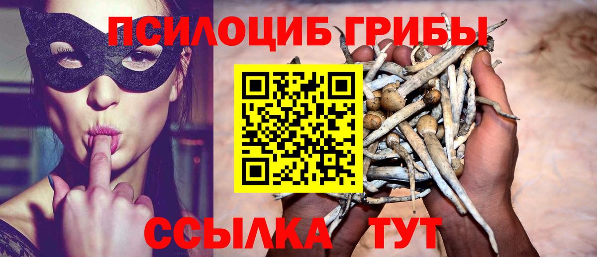 Псилоцибиновые грибы ЛСД Дзержинский